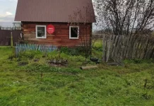 Медведь убил 66-летнюю женщину в ее доме в Красноярском крае