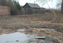 В Корнилово вода из колодца образовала озеро: жители опасаются за дома перед зимой. Видео