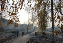 Какие территории благоустроили в Камне в 2026 и в каком состоянии те, что построили раньше?
