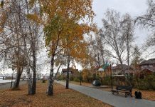 В Алтайском крае потеплеет до +9 градусов