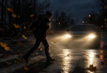 С начала года в Алтайском крае сбили 404 пешехода. 20 из них погибли
